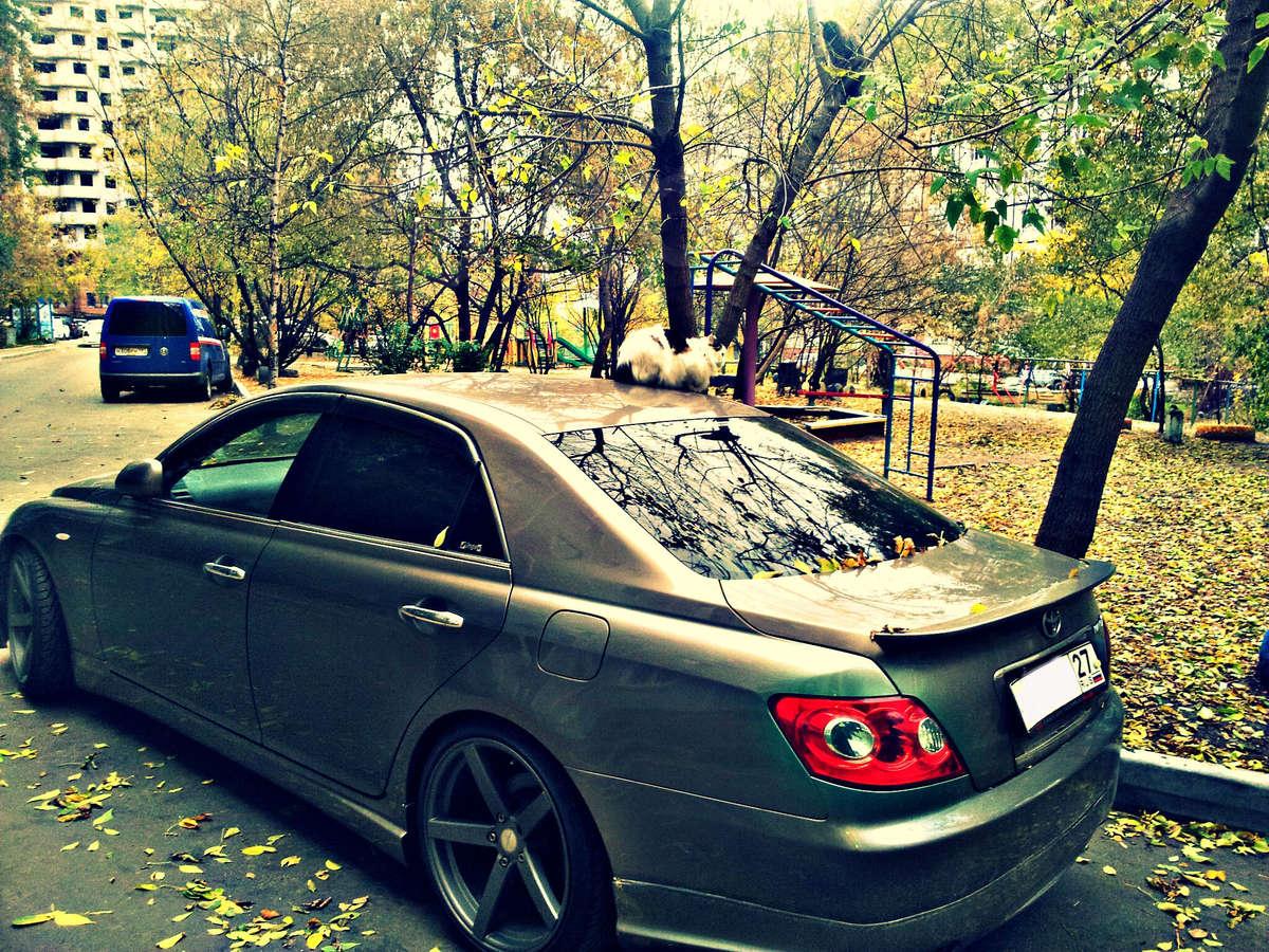 Авто в архиве как это Авто в архиве как это