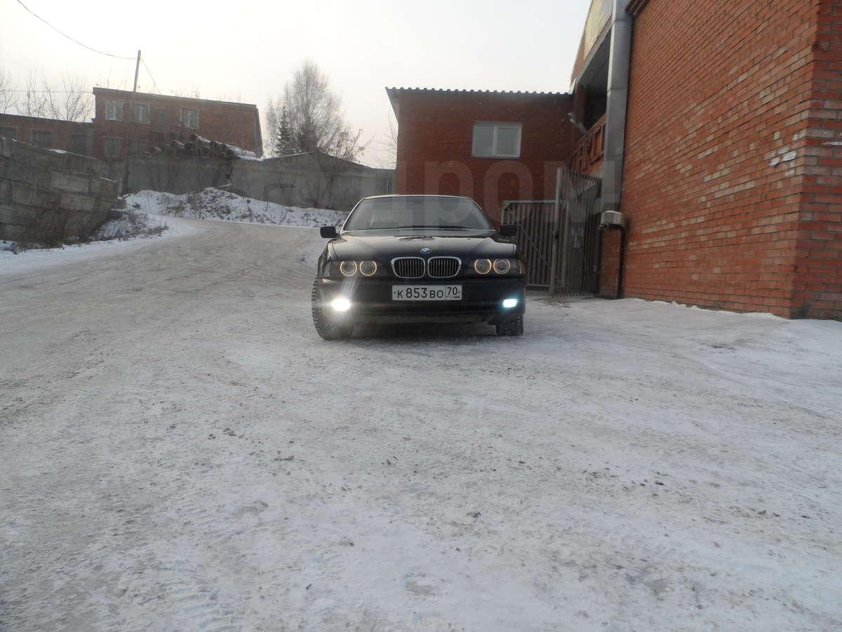 98983313.jpg
