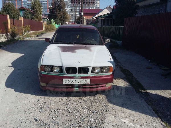 ttn_184221565.jpg