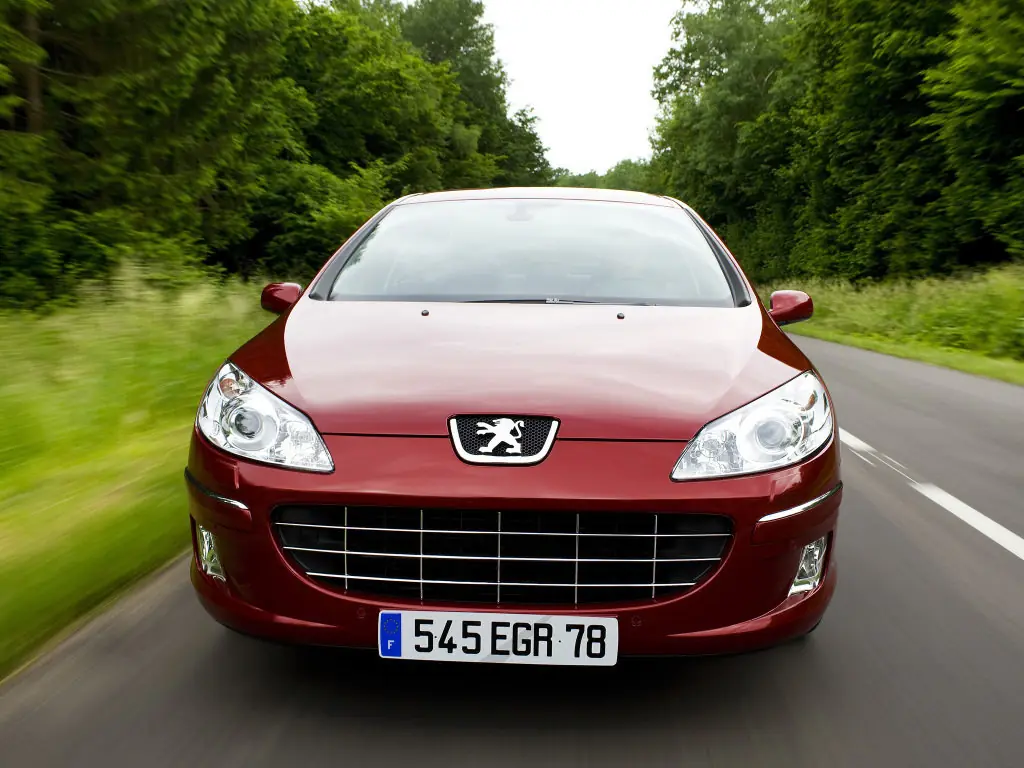 Peugeot 407  2008 2009 2010  1      