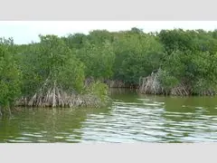    (Everglades National Park), ,  ()