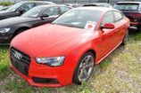 Audi A5. ,  (TANGO RED) (Y1Y1)