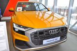 Audi Q8. ,  (DRAGON ORANGE)