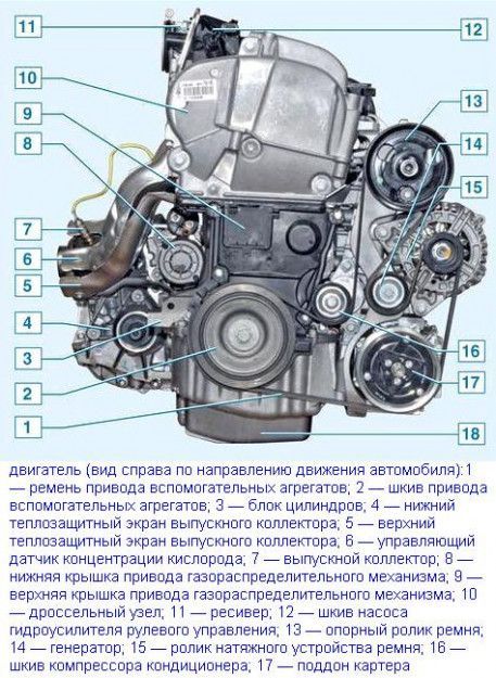Как поменять масло в двигателе на Ниссан Альмера G15