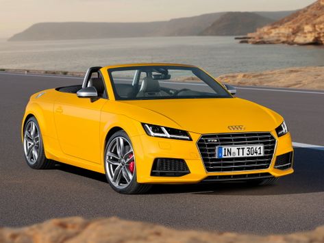 Audi TTS (8S)
12.2014 - 06.2018