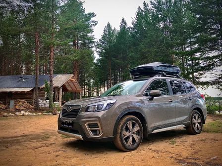 Subaru Forester 2019 - отзыв владельца