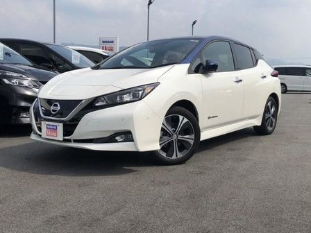 Nissan Leaf 2019 -  