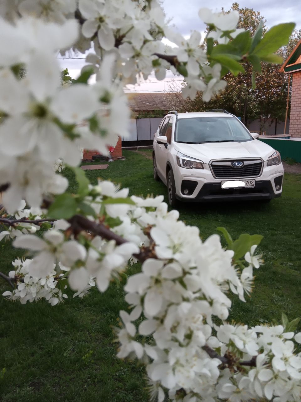 Subaru Forester 2019, 2 литра, Доброго времени суток, 4вд, Уфа, левый руль