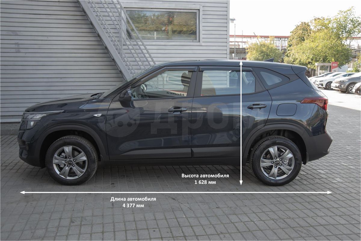 Kia Seltos Рё Qashqai