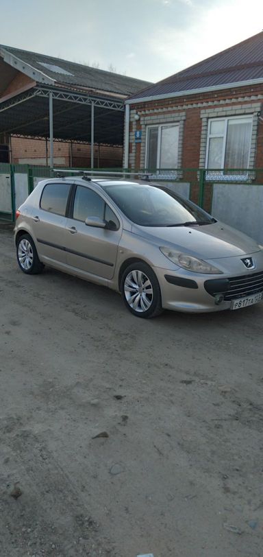 Peugeot 307 2006   |   16.03.2021.