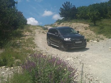 Audi Q7, 2006