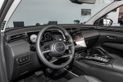 Hyundai Tucson 2.0 CRDi AT 4WD Visioner (05.2021 - 12.2022))