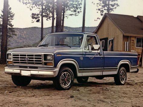 Ford F150 
03.1981 - 07.1986
