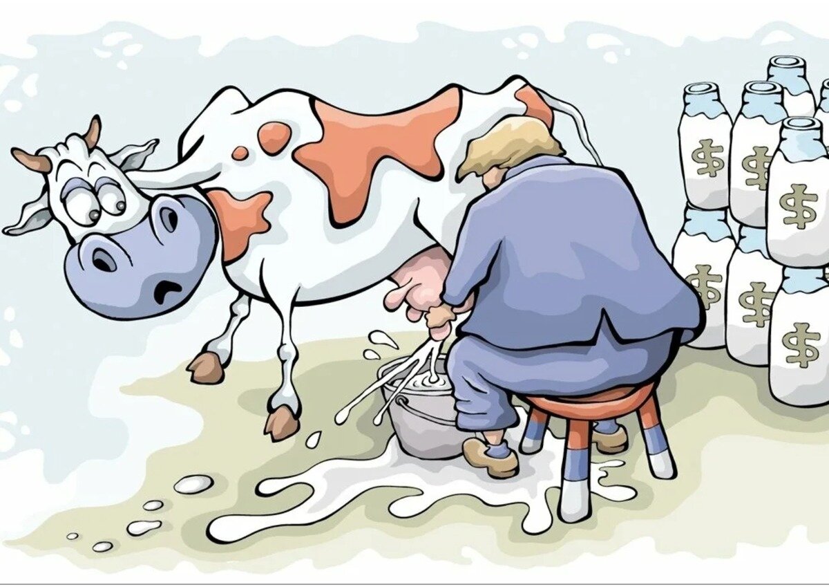 Покажи картинку молока. Доить корову. Корова молоко. Корова карикатура. Дойная корова.