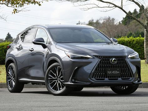 Lexus NX450h+ (AZ20)
10.2021 -  ..