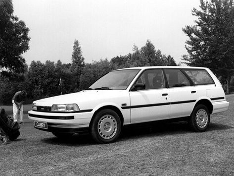 Toyota Camry (V20)
06.1986 - 06.1991