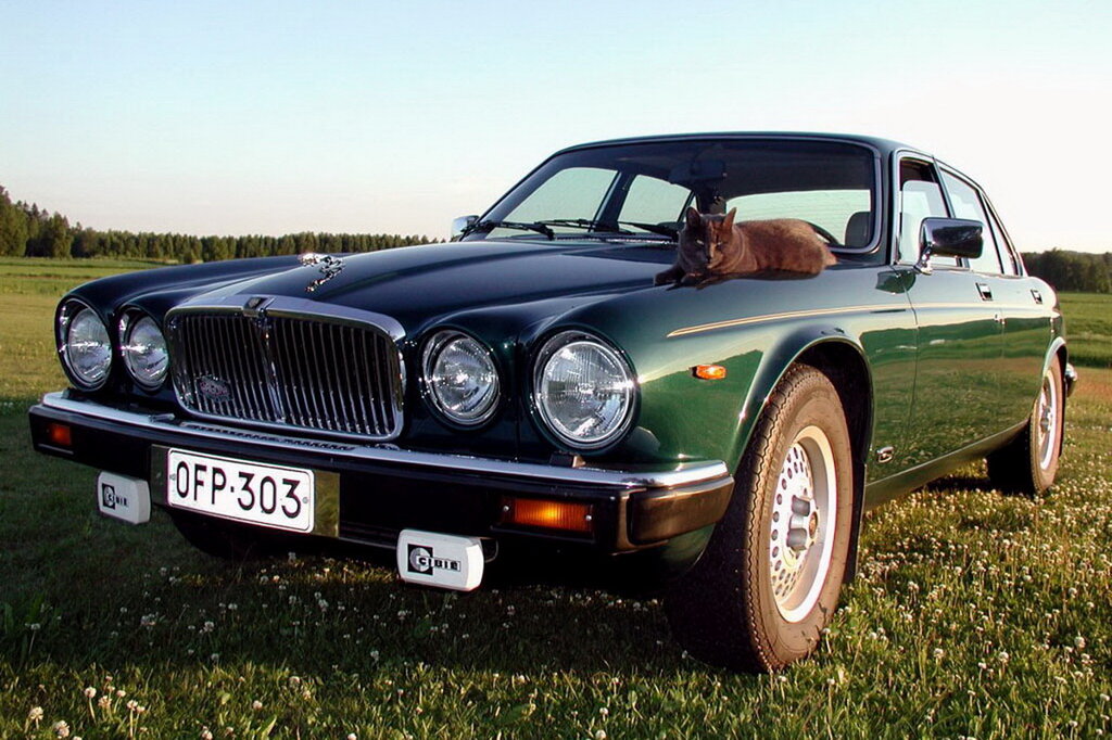 Jaguar редкие модели