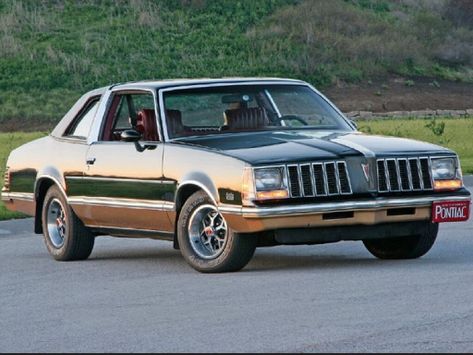 Pontiac Grand Am 
10.1977 - 09.1979