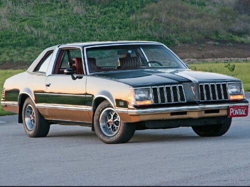 Pontiac Grand Am 1977 - 1979