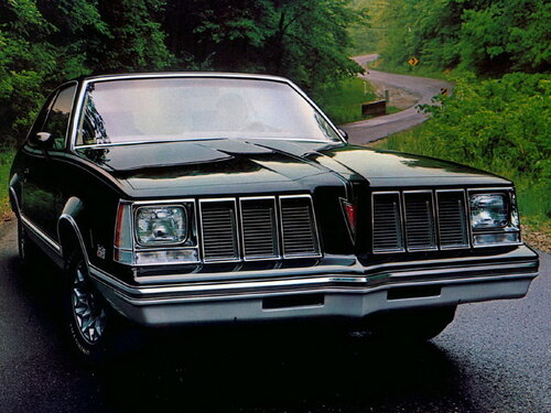 Pontiac Grand Am 1979 - 1980