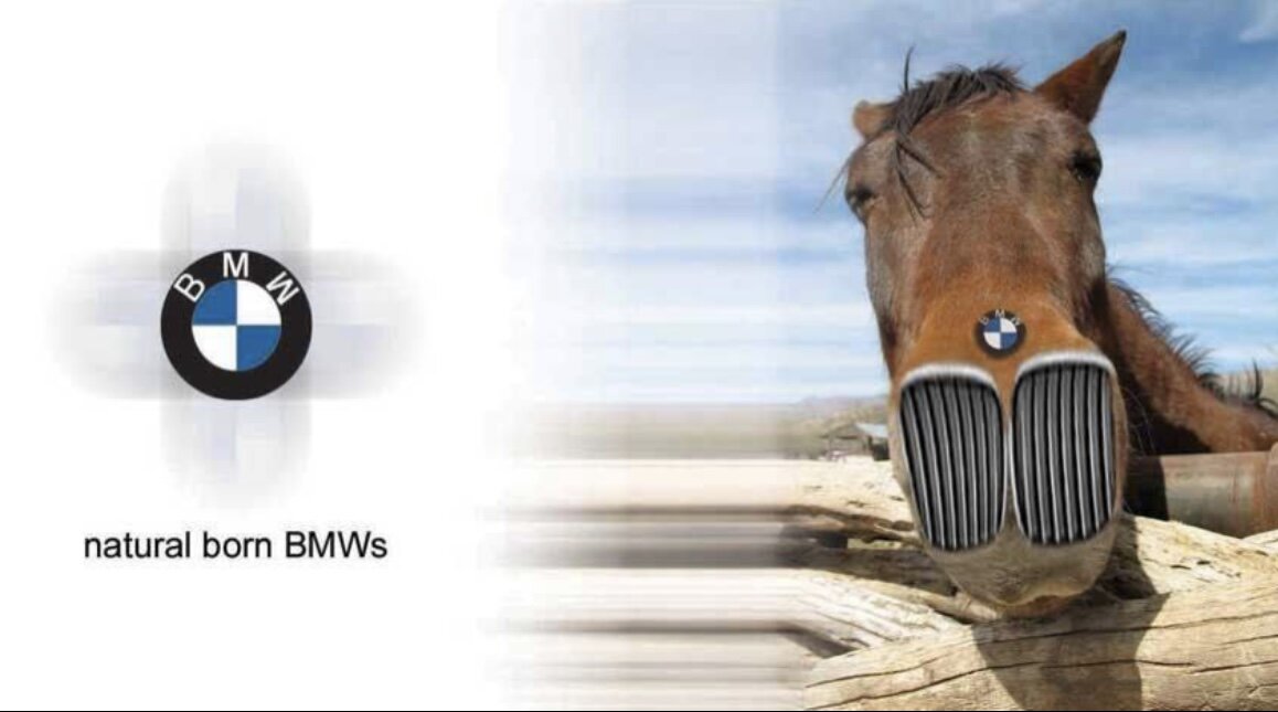 Реклама лошадок. BMW лошадь. BMW реклама лошади. Реклама с лошадью. Лошадка БМВ.