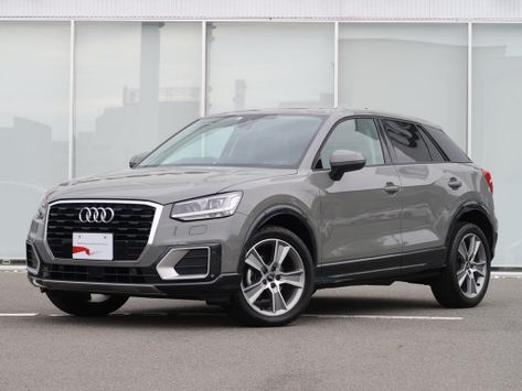 Audi Q2 
06.2017 - 04.2021