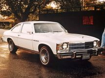 Buick Skylark 1974, , 5 