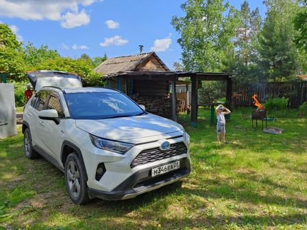 Toyota RAV4 2019 -  