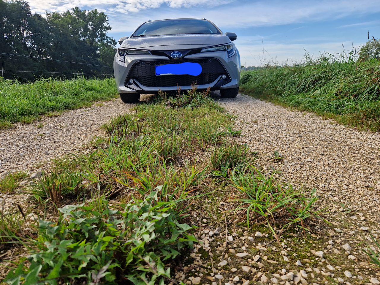 Toyota Corolla 2020 год, 2 литра, Приветствую всех читателей, зашедших  прочитать мой первый отзыв, руль левый, Москва, расход 4.5, вариатор, бензин