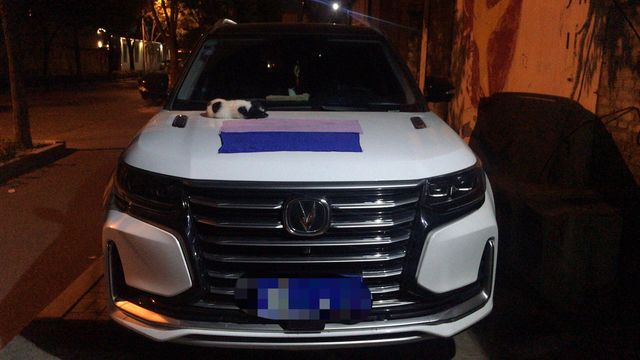 Changan CS95 2023г 2 литра Changan CS 95 мы купили SUV бензин 4вд  коробка автомат