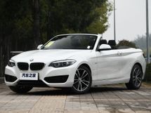 BMW 2-Series , 1 , 05.2017 - 10.2021,  