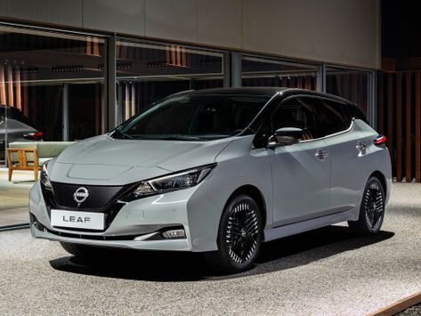 Nissan Leaf (ZE1)
01.2022 -  ..