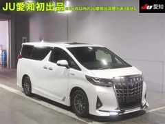 Toyota Alphard AYH30W, 2021