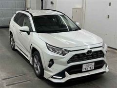Toyota RAV4 MXAA54, 2020