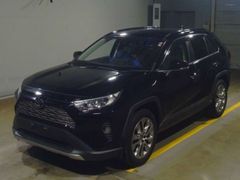 Toyota RAV4 MXAA54, 2019