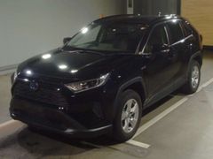 Toyota RAV4 AXAH52, 2019