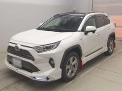 Toyota RAV4 AXAH54, 2019