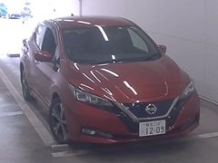 Nissan Leaf ZE1, 2019