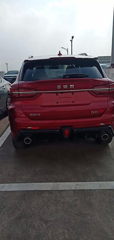 SWM G01F, 2019