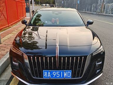 Hongqi H5, 2024