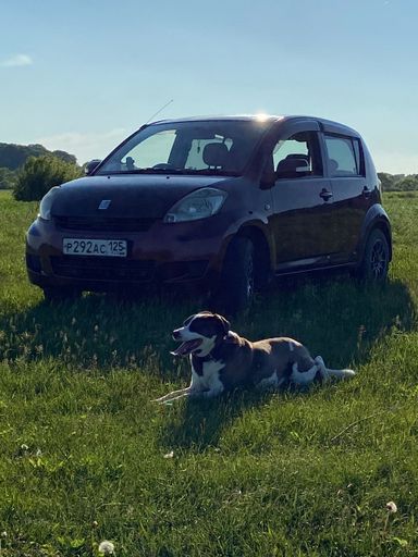 Toyota Passo, 2009