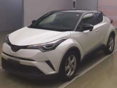 Toyota C-HR NGX10, 2019