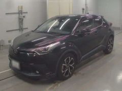 Toyota C-HR NGX10, 2019