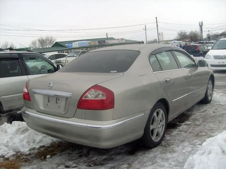 Nissan Сима сходка