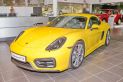 Porsche Cayman 3.4 PDK Cayman GTS (03.2014 - 04.2016))
