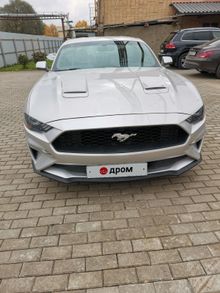 Краснознаменск Mustang 2018