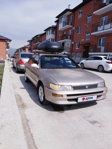 Новороссийск Corolla 1994