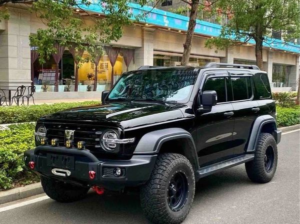  300 2023           4    34   20 AT 4WD  Off-road Conqueror