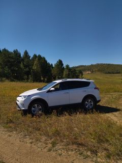 Приаргунск Toyota RAV4 2015