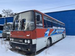 Междугородный автобус Ikarus 256 1987 года, 300000 рублей, Ангарск
